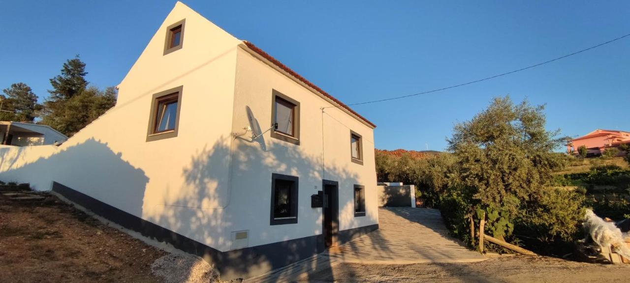 Pomar Das Oliveiras - Private Swimming Pool - Free Ev Chrg - Pet Friendly Carvalhal  Экстерьер фото