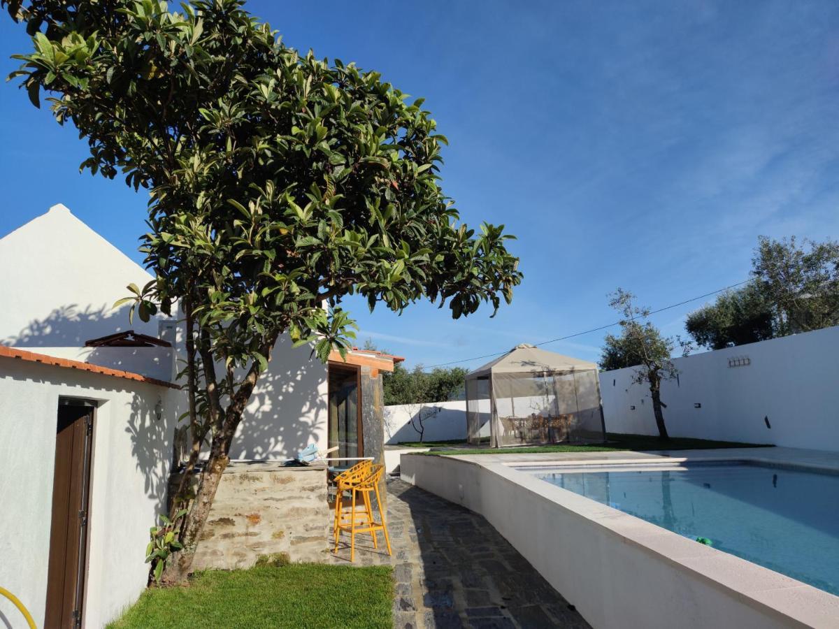 Pomar Das Oliveiras - Private Swimming Pool - Free Ev Chrg - Pet Friendly Carvalhal  Экстерьер фото