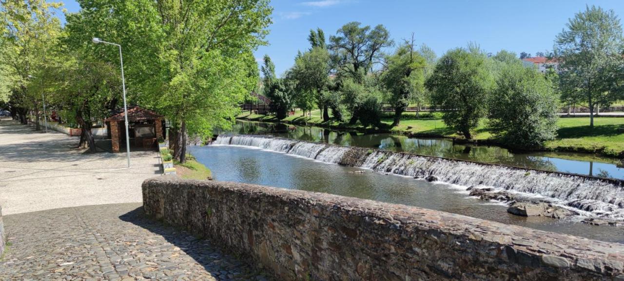 Pomar Das Oliveiras - Private Swimming Pool - Free Ev Chrg - Pet Friendly Carvalhal  Экстерьер фото
