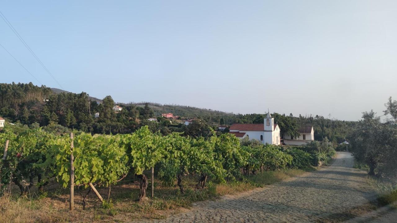 Pomar Das Oliveiras - Private Swimming Pool - Free Ev Chrg - Pet Friendly Carvalhal  Экстерьер фото