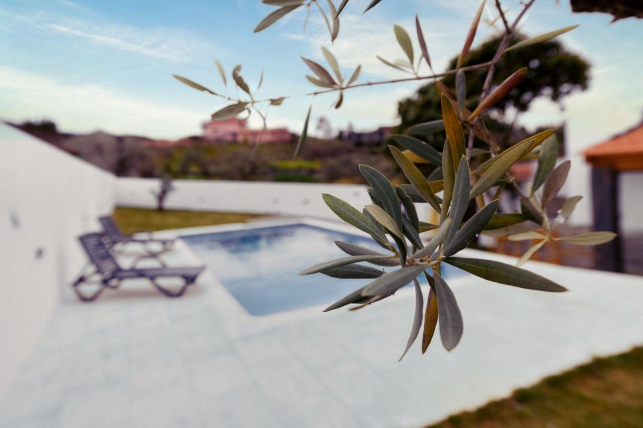 Pomar Das Oliveiras - Private Swimming Pool - Free Ev Chrg - Pet Friendly Carvalhal  Экстерьер фото